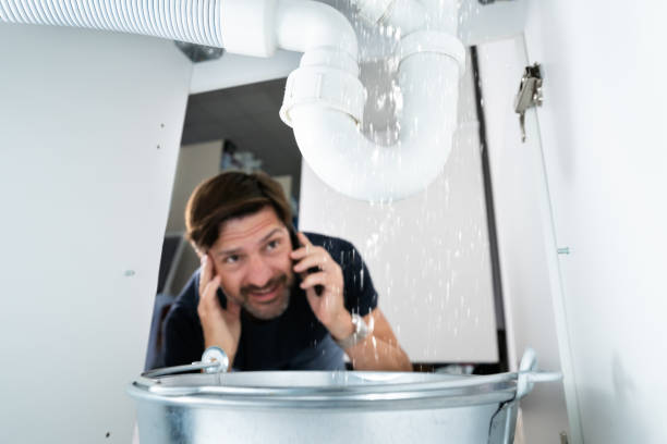 Best Leak Detection Services  in Winterset, IA