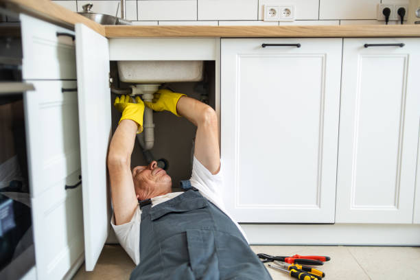 Best Sprinkler Systems  in Winterset, IA